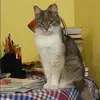 Отзыв от Анжела Софронова